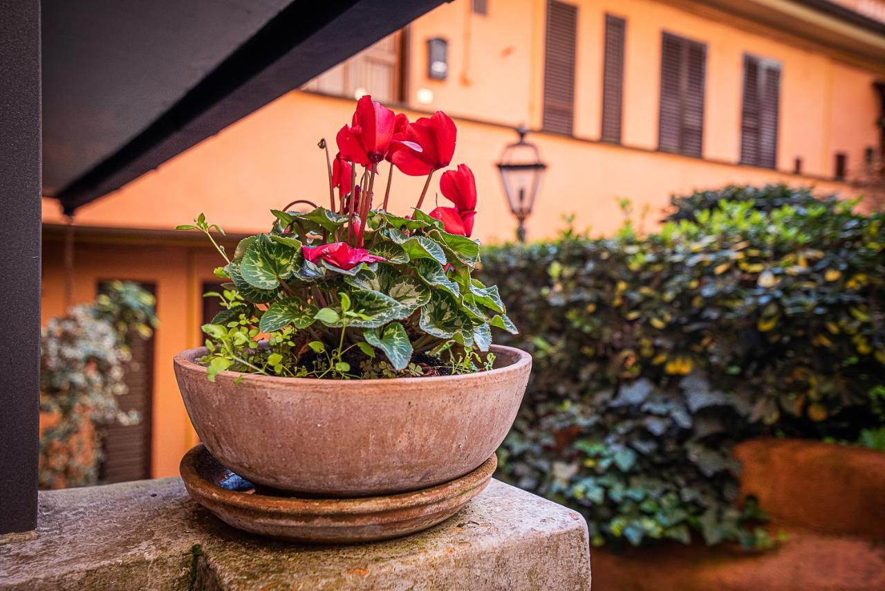 Cosy Studio In The Greenest Corner Of Trastevere Roma Dış mekan fotoğraf